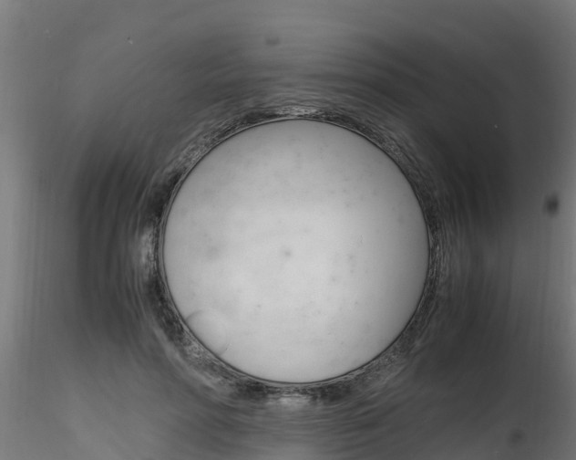 X0000116260598200911300954