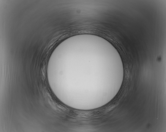 X0000116260599200911300954
