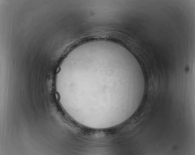 X0000116260600200911300954