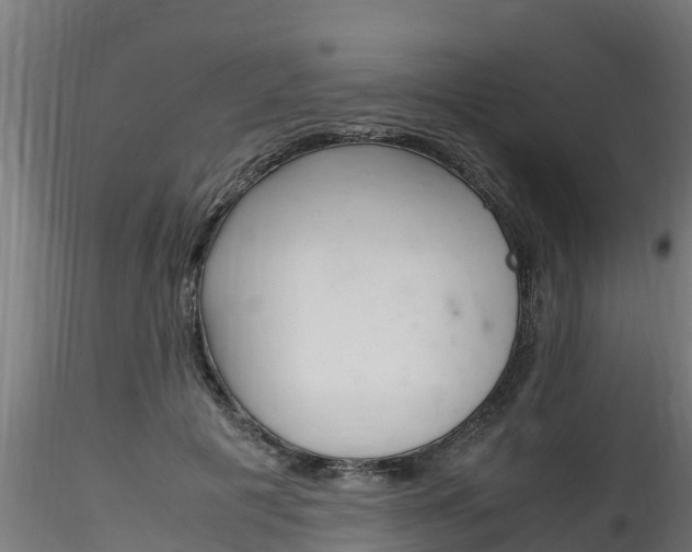X0000116260601200911300954