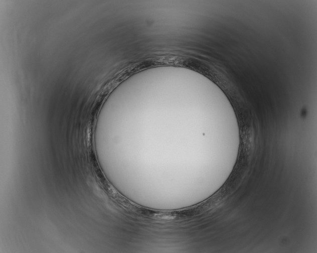X0000116260602200911300954