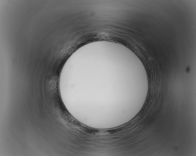 X0000116260603200911300954