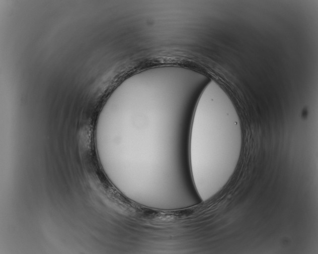 X0000116260604200911300954