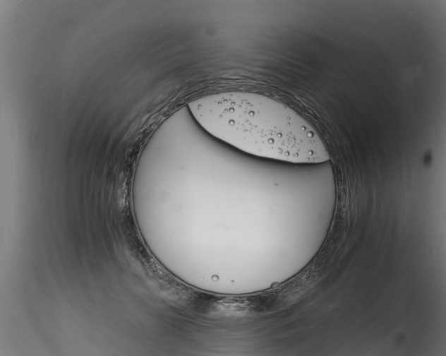 X0000116260606200911300954