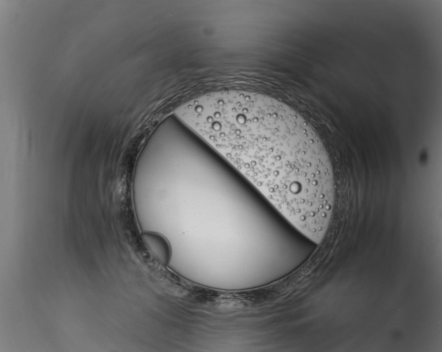 X0000116260608200911300954