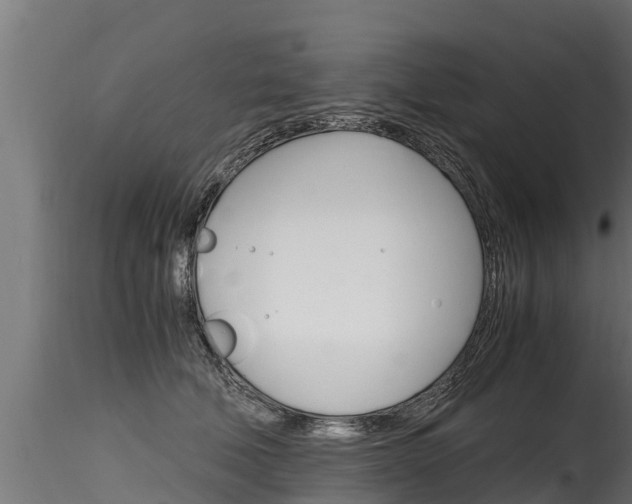 X0000116260610200911300954