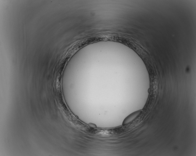 X0000116260611200911300954