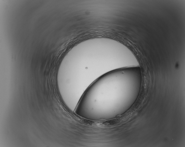X0000116260613200911300954