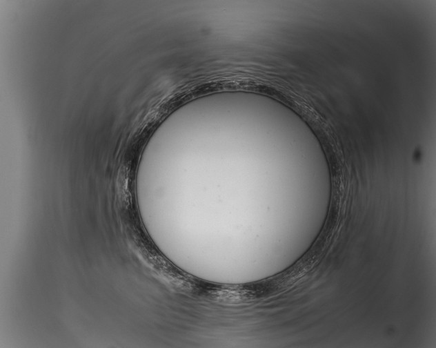 X0000116260615200911300954