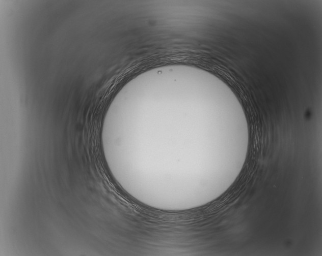 X0000116260617200911300954