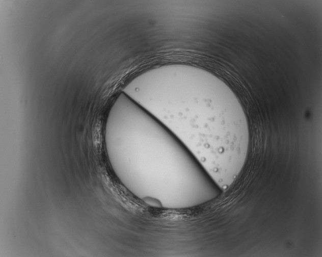 X0000116260620200911300954