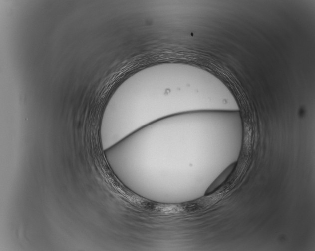 X0000116260621200911300954