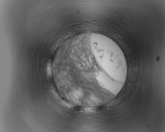 X0000116260622200911300954
