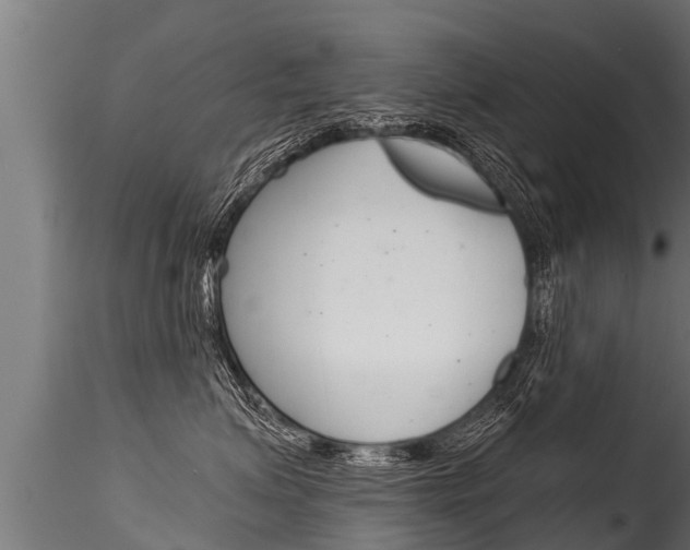 X0000116260623200911300954