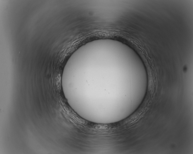 X0000116260624200911300954