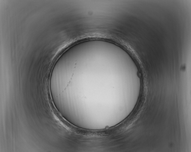 X0000116260625200911300953