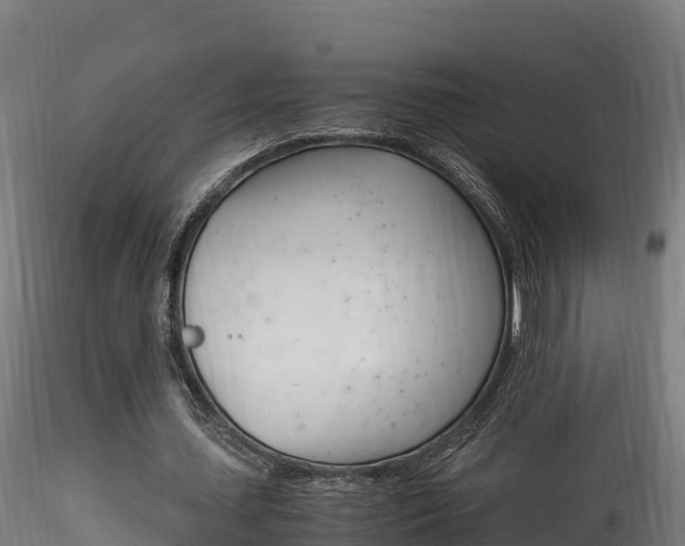 X0000116260627200911300953
