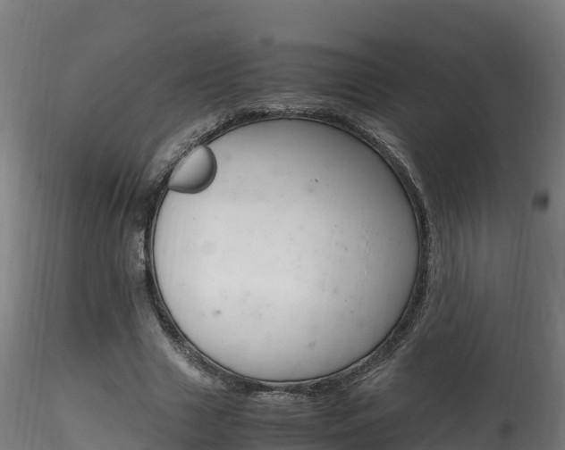 X0000116260633200911300953