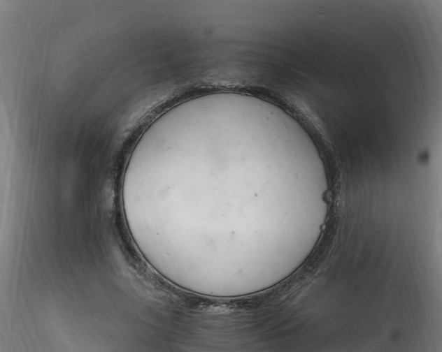 X0000116260635200911300953