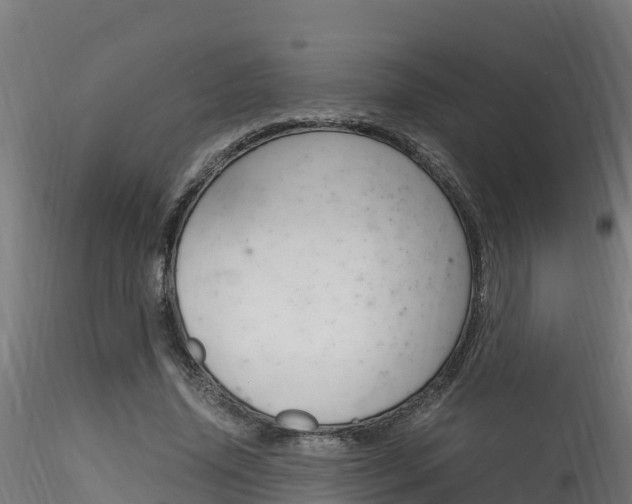 X0000116260636200911300953