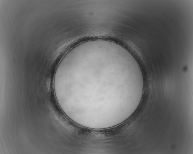 X0000116260640200911300953