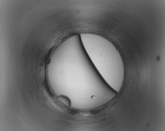 X0000116260642200911300953