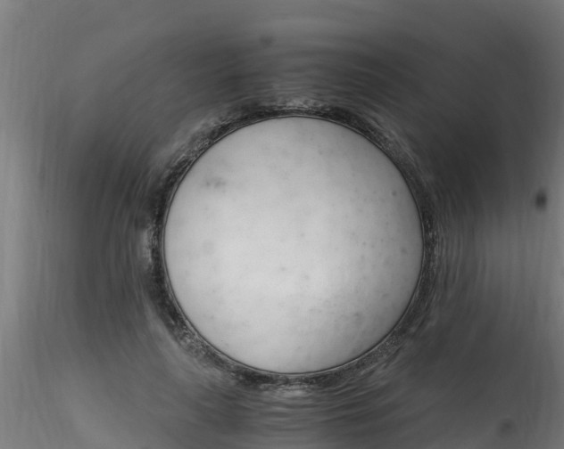 X0000116260643200911300954