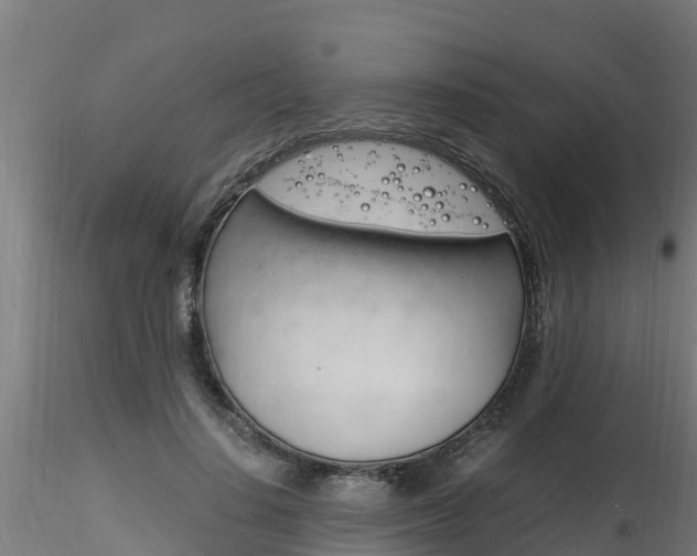 X0000116260644200911300954