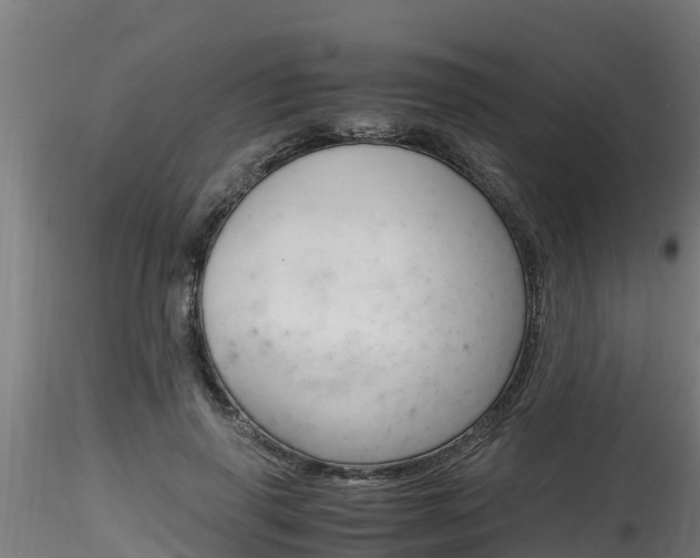 X0000116260645200911300954