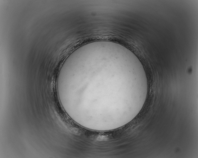 X0000116260647200911300954