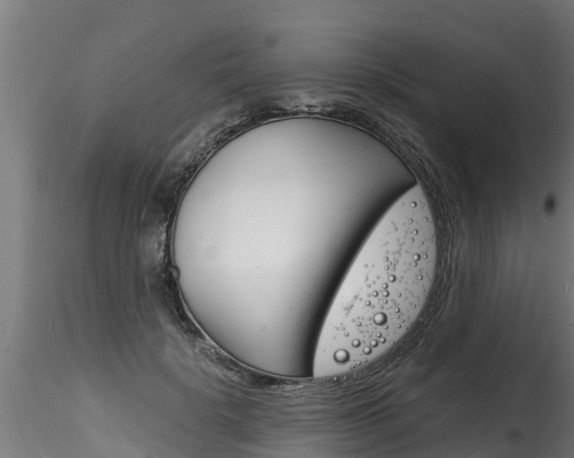 X0000116260652200911300954