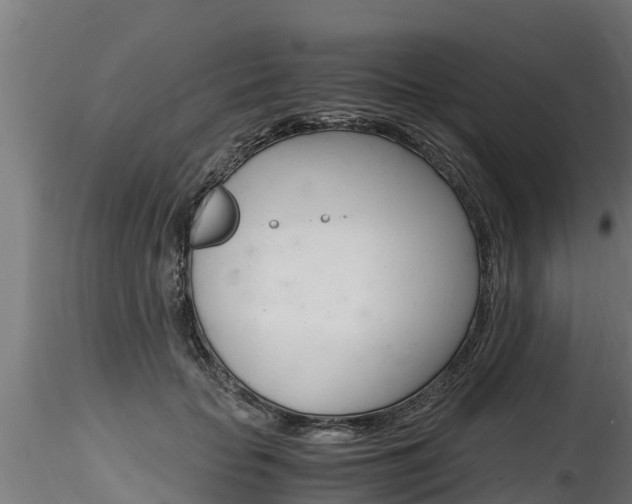 X0000116260653200911300954