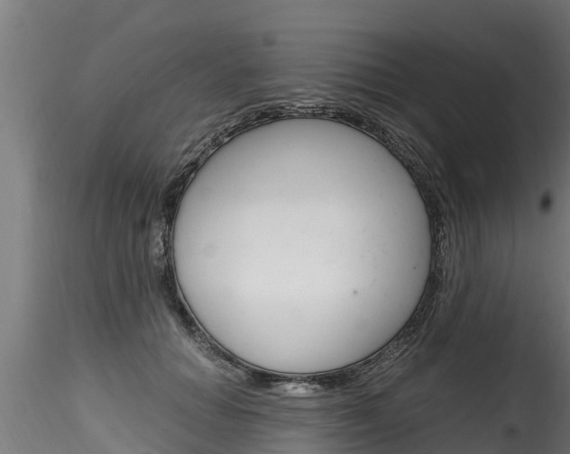 X0000116260654200911300954