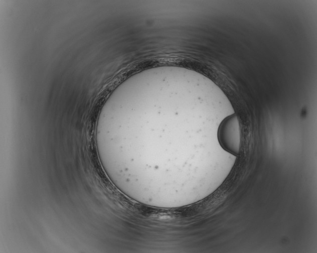 X0000116260655200911300954