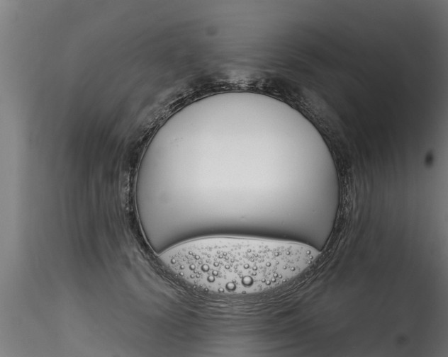 X0000116260656200911300954