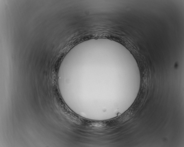 X0000116260659200911300954