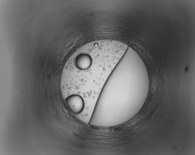 X0000116260661200911300954