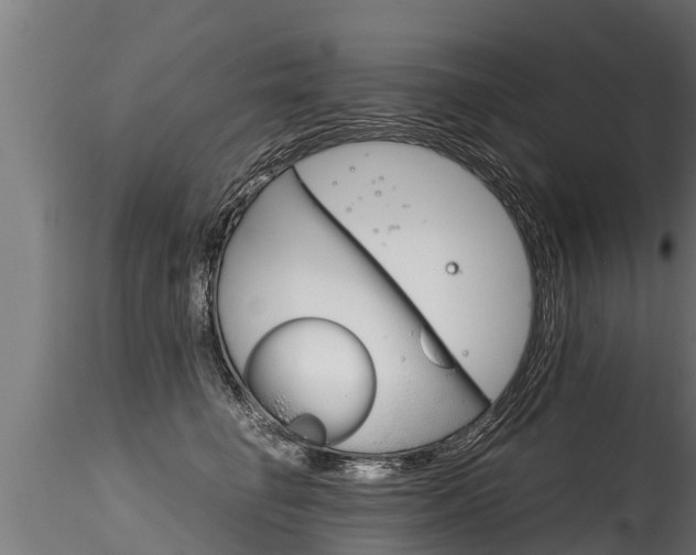 X0000116260662200911300954