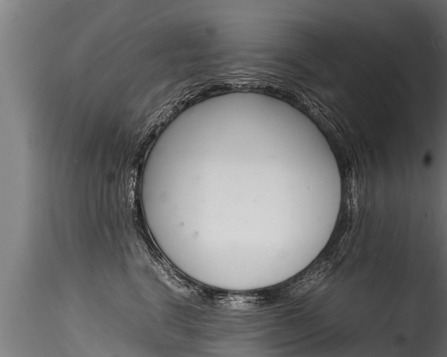 X0000116260664200911300954