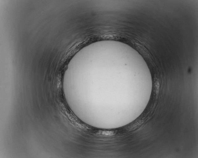 X0000116260665200911300954