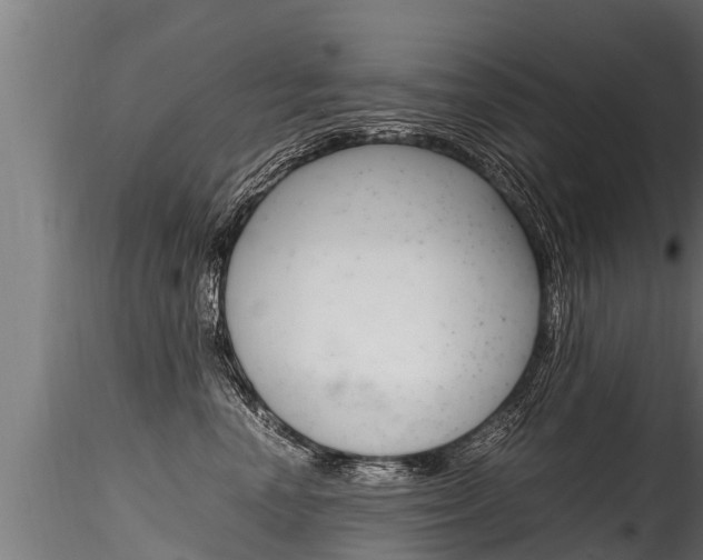 X0000116260666200911300954