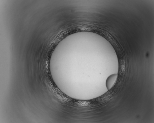 X0000116260667200911300954