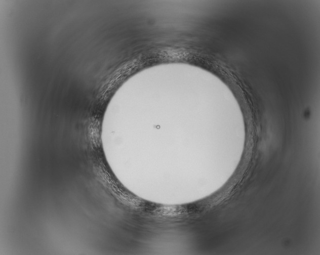 X0000116260672200911300954