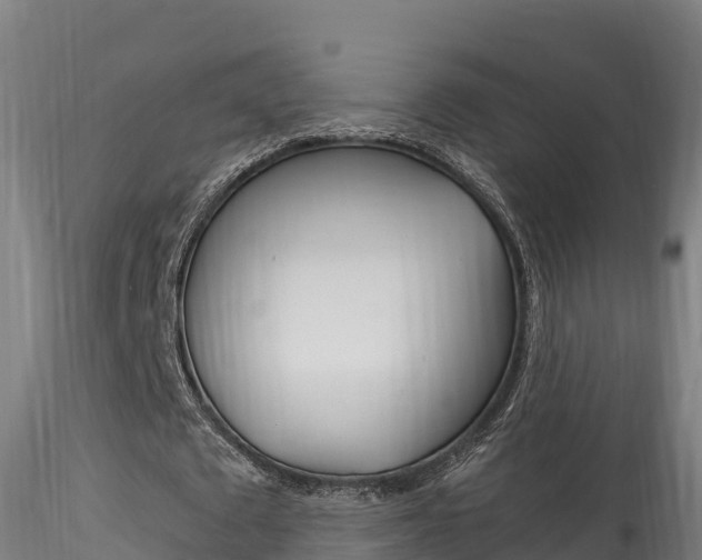 X0000116260673200911300953
