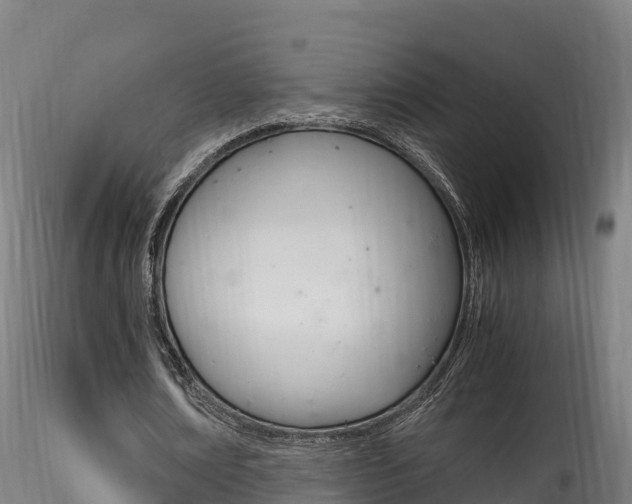 X0000116260674200911300953