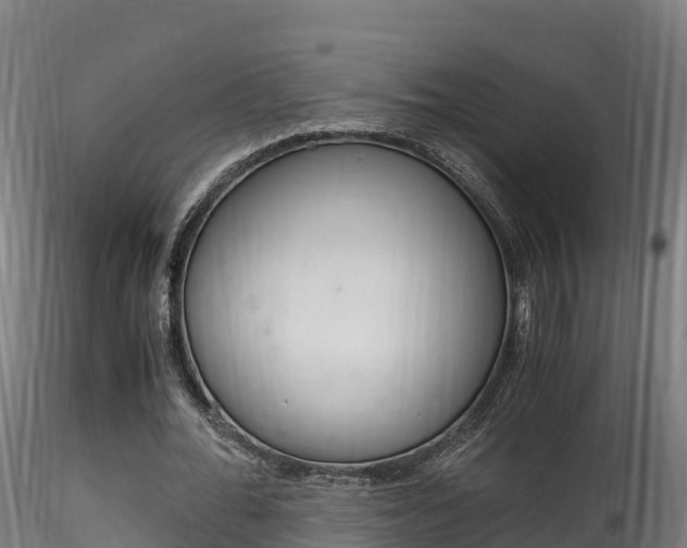 X0000116260676200911300953