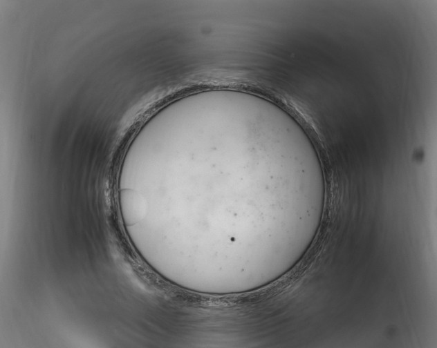 X0000116260682200911300953