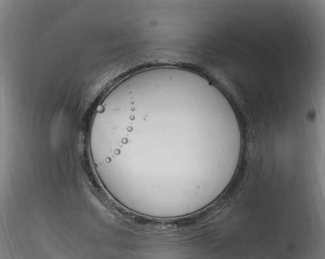 X0000116260683200911300953