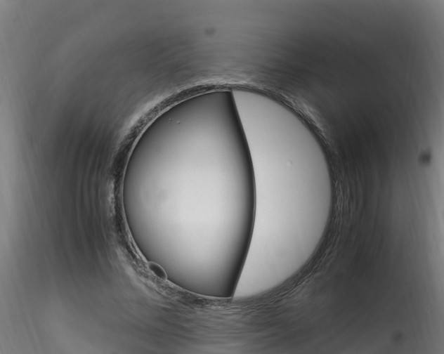 X0000116260684200911300953