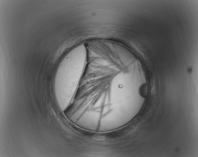 X0000116260685200911300953